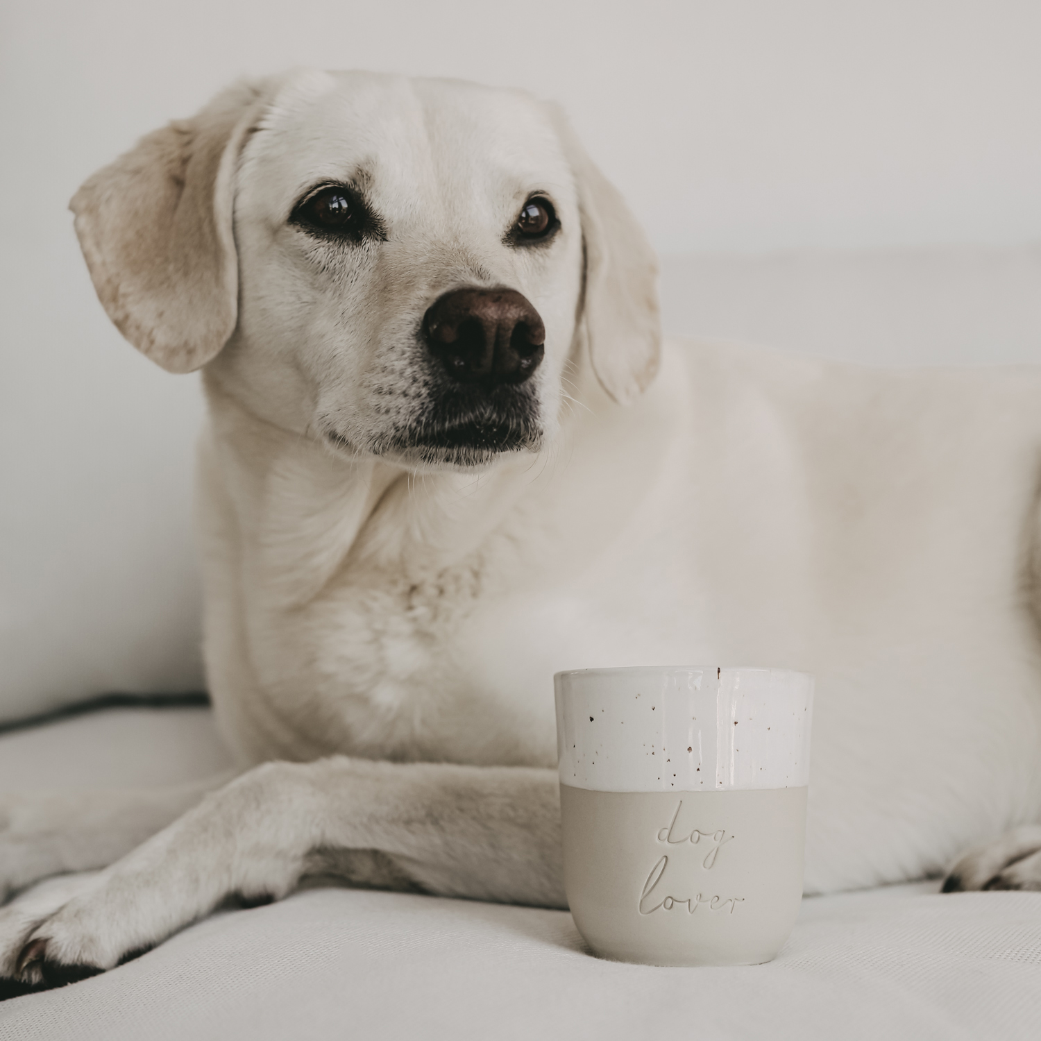 Limitierter Eulenschnitt Becher Dog Lover